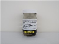 藏品(紅冠水雞)的圖片